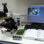 Matériel utilisé pour le comptage et l’identification des diatomées pour la réalisation des Indice Biologie Diatomées IBD