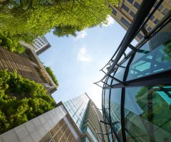 Low,Angle,Shot,Of,Modern,Glass,Buildings,And,Green,With